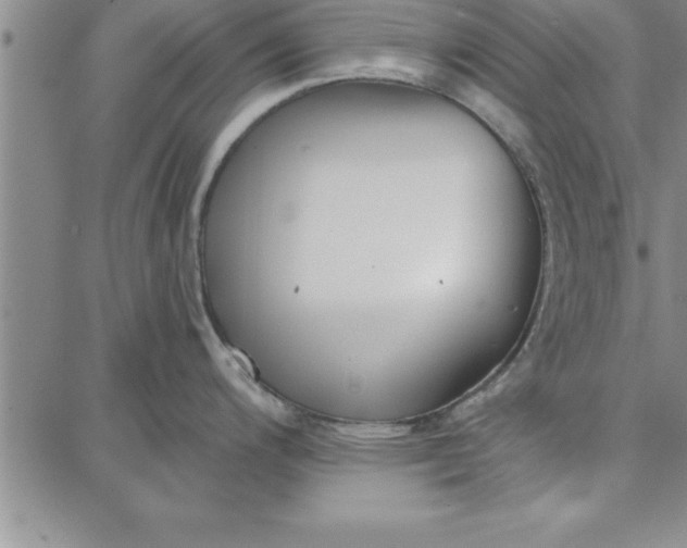 X0000087741200200705211004