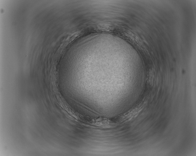 X0000087741201200705211004