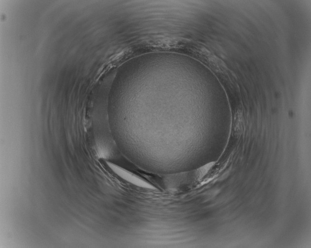 X0000087741202200705211004