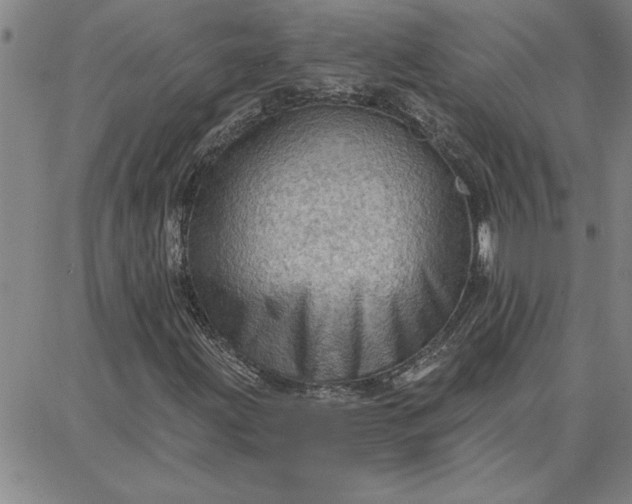 X0000087741203200705211004