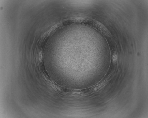 X0000087741204200705211004