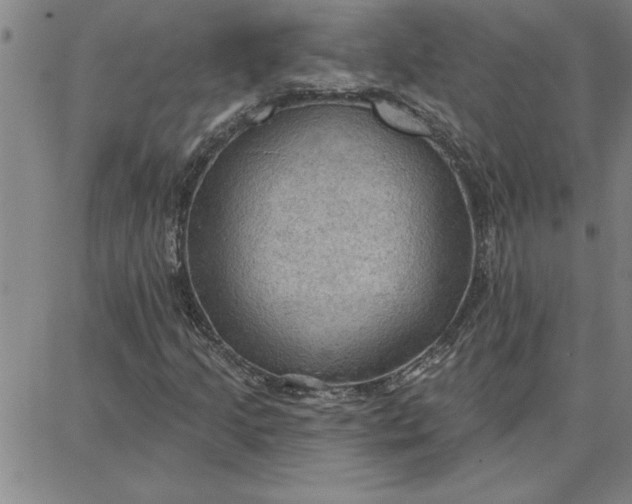 X0000087741205200705211004