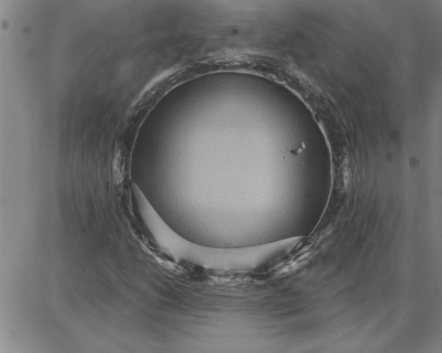 X0000087741206200705211004