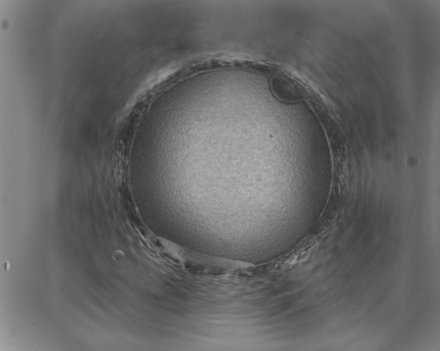 X0000087741207200705211004