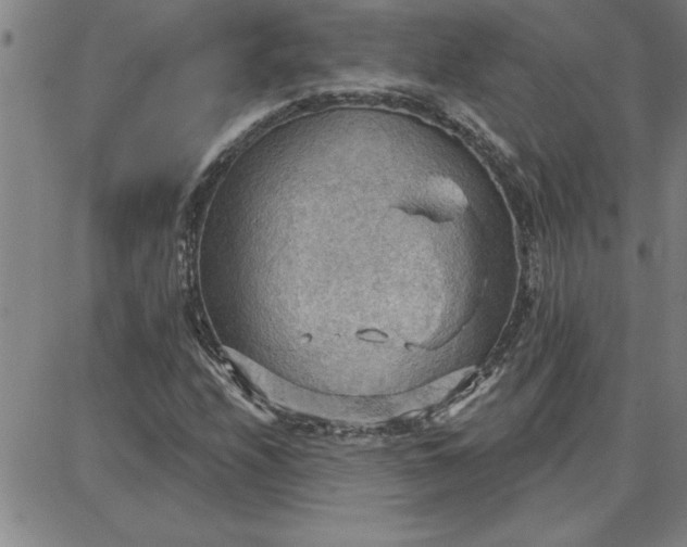 X0000087741208200705211004