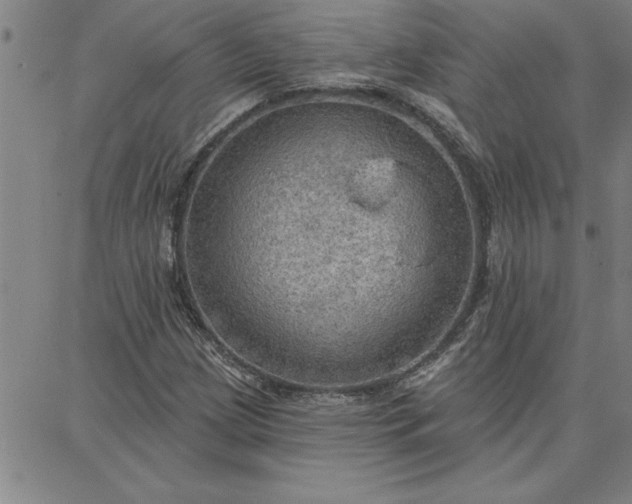 X0000087741209200705211004