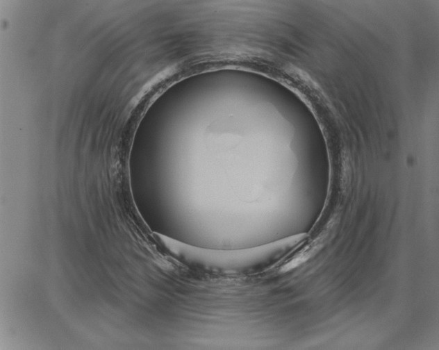 X0000087741210200705211004