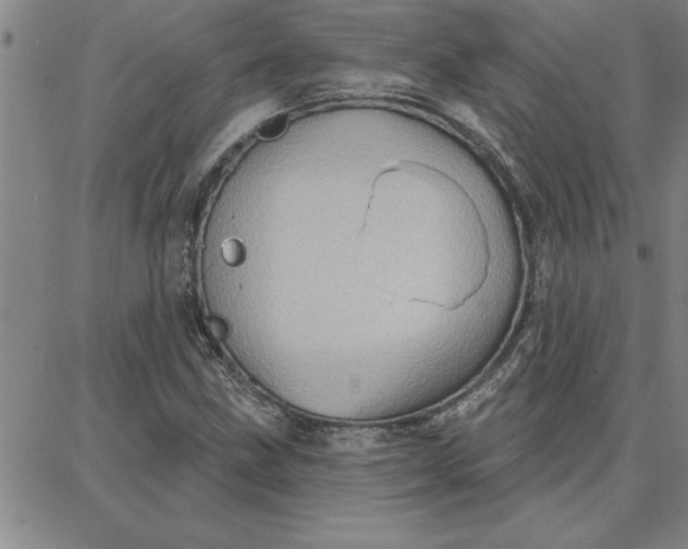 X0000087741211200705211004