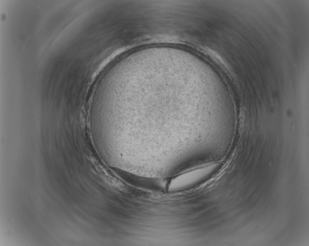 X0000087741212200705211004