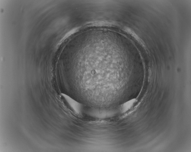 X0000087741213200705211004