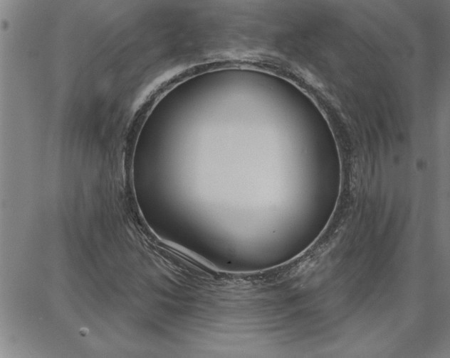 X0000087741214200705211004