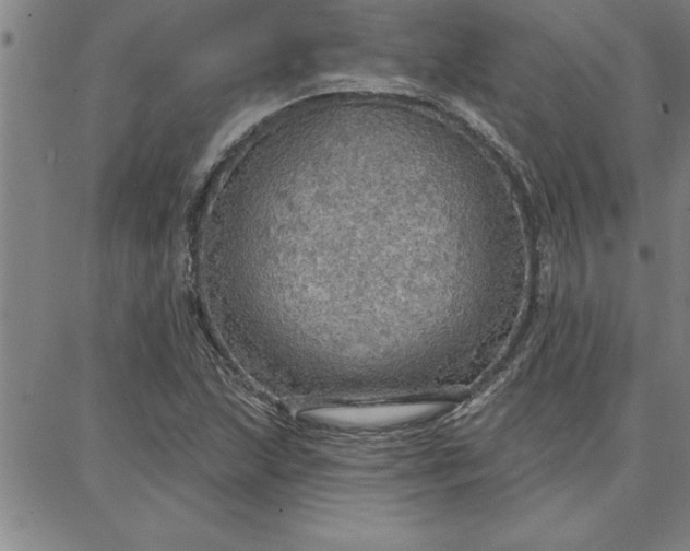 X0000087741215200705211004