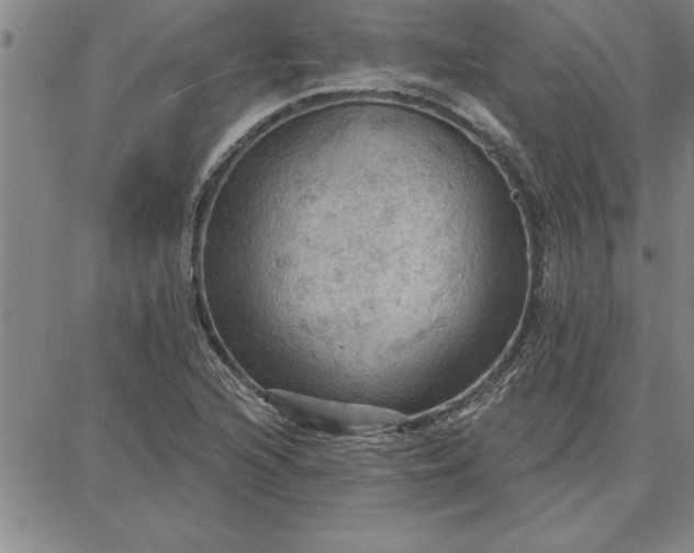 X0000087741216200705211004