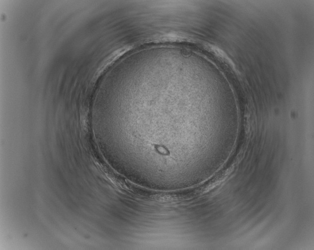 X0000087741217200705211004