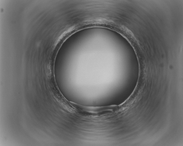 X0000087741218200705211004