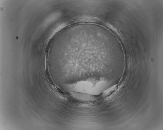 X0000087741219200705211004