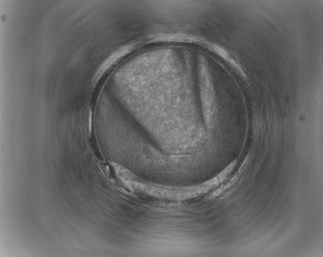 X0000087741221200705211004