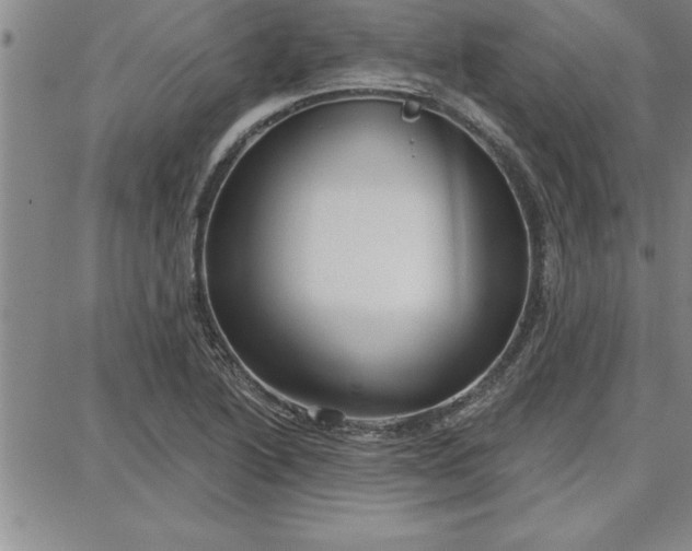 X0000087741222200705211004