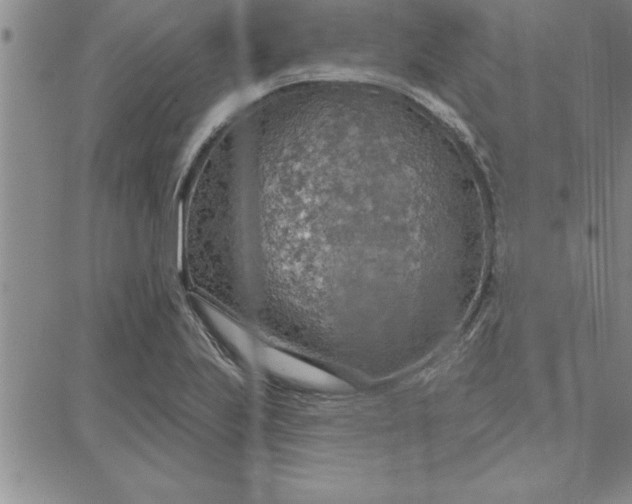 X0000087741223200705211004