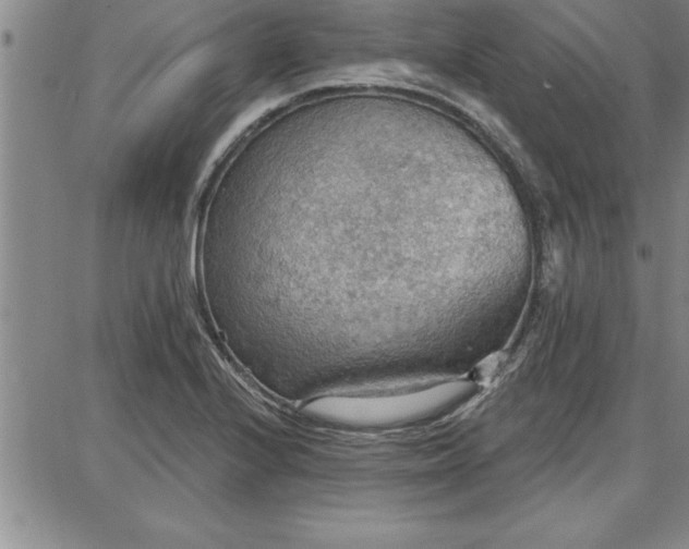 X0000087741224200705211004