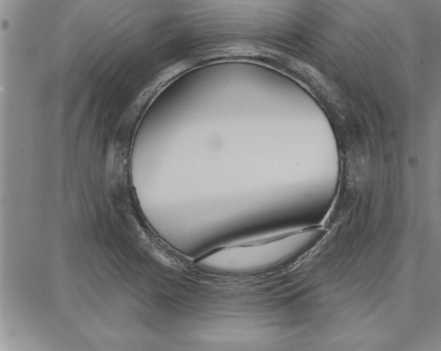 X0000087741225200705211004