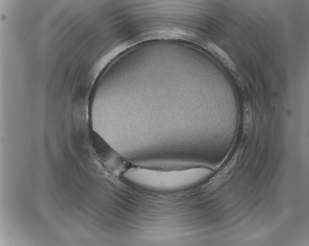 X0000087741226200705211004