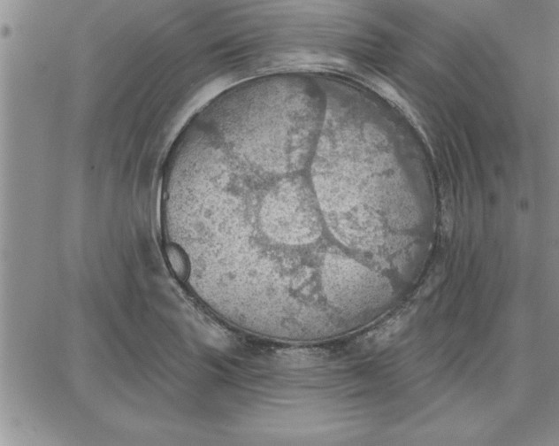 X0000087741227200705211004