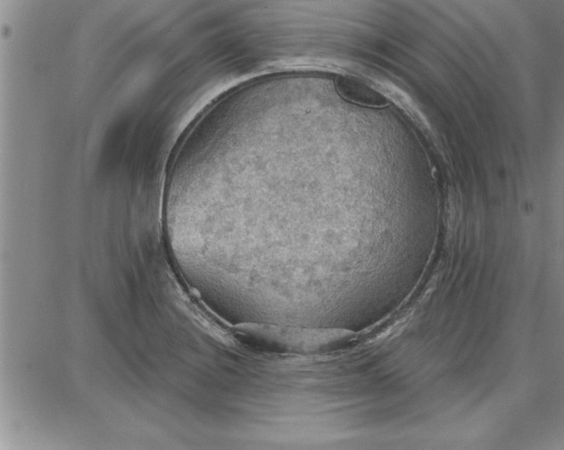 X0000087741228200705211004