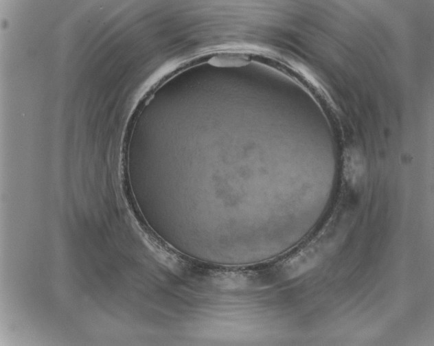 X0000087741229200705211004