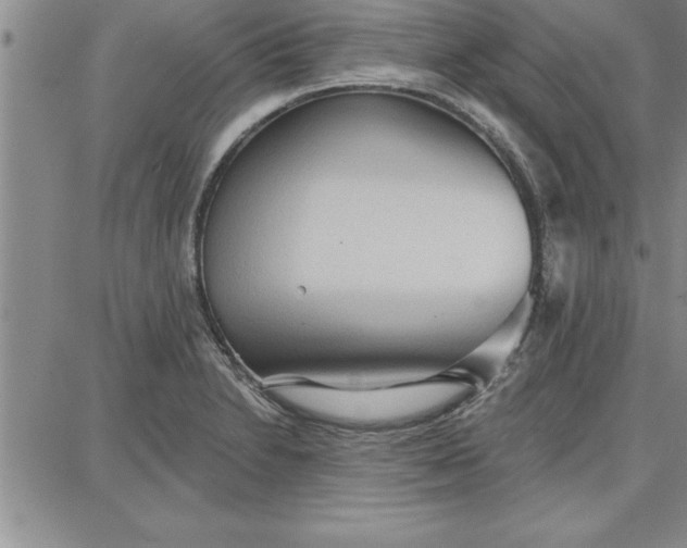 X0000087741230200705211004