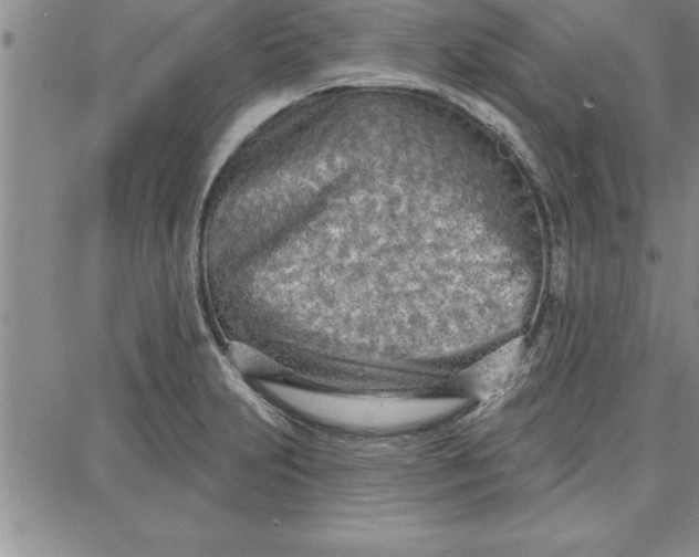 X0000087741231200705211004