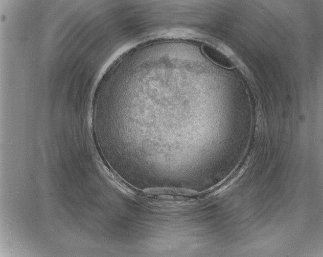 X0000087741232200705211004