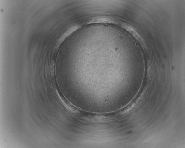 X0000087741233200705211004