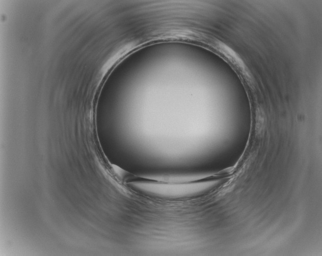 X0000087741234200705211004