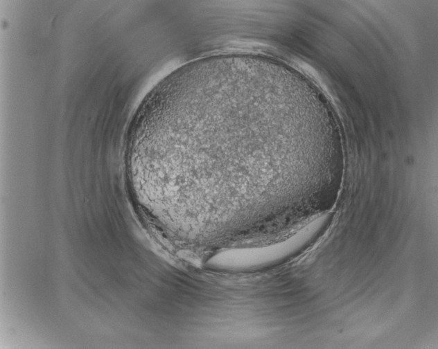 X0000087741235200705211004