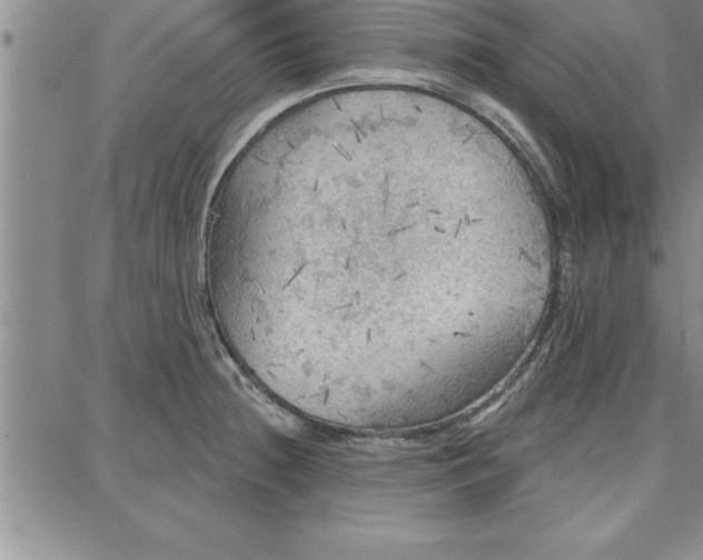 X0000087741236200705211004