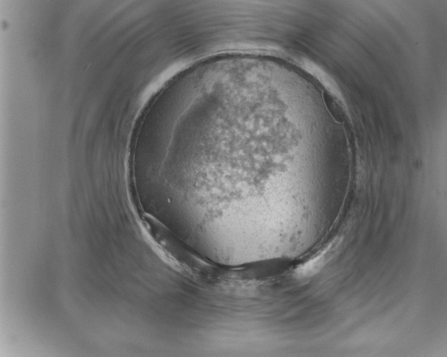 X0000087741237200705211004