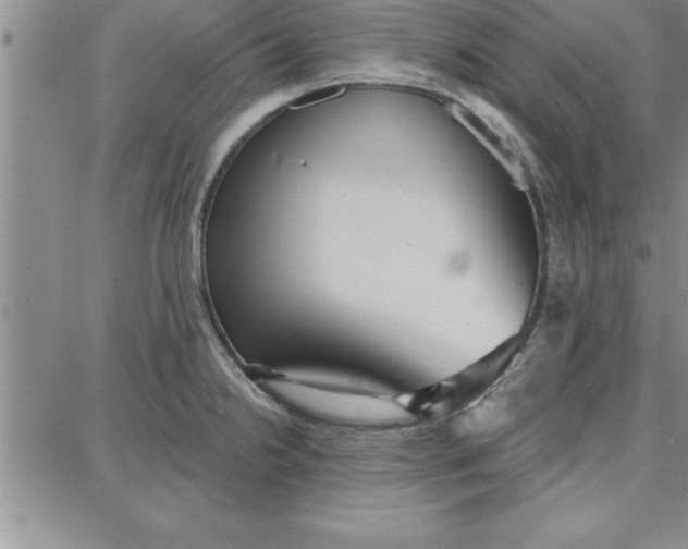 X0000087741238200705211004