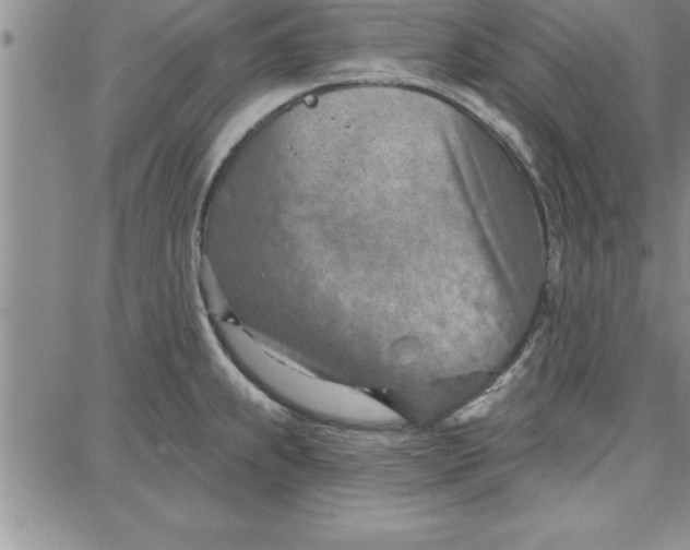 X0000087741239200705211004