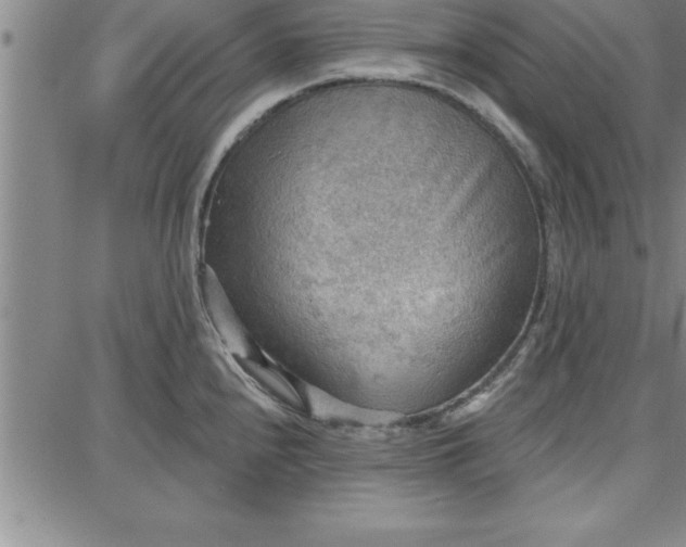 X0000087741240200705211004