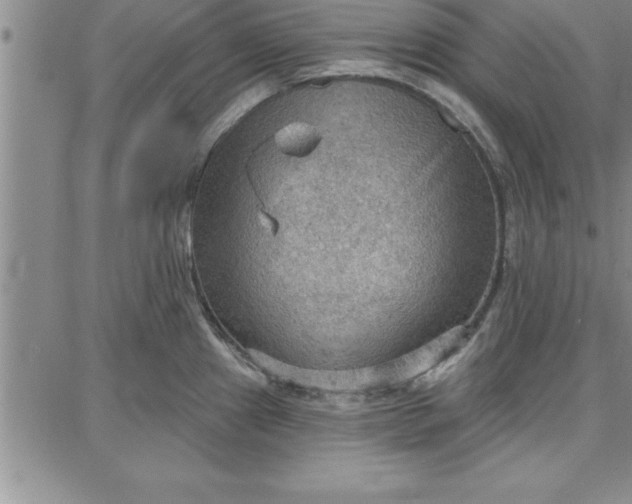 X0000087741241200705211004