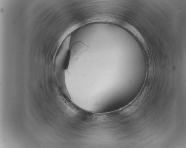 X0000087741242200705211004