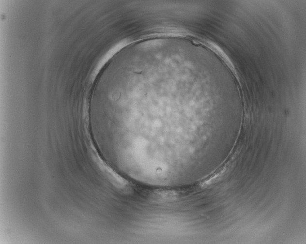 X0000087741243200705211004