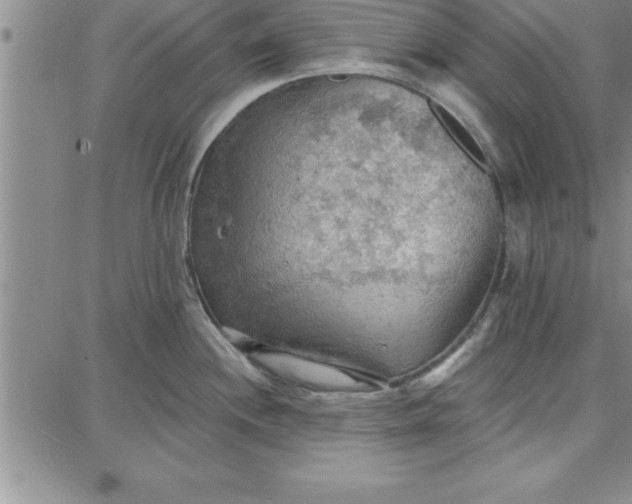 X0000087741244200705211004