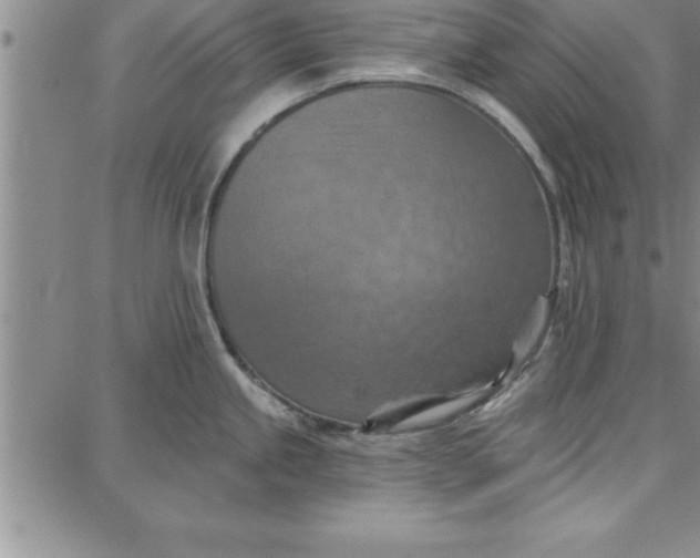 X0000087741245200705211004