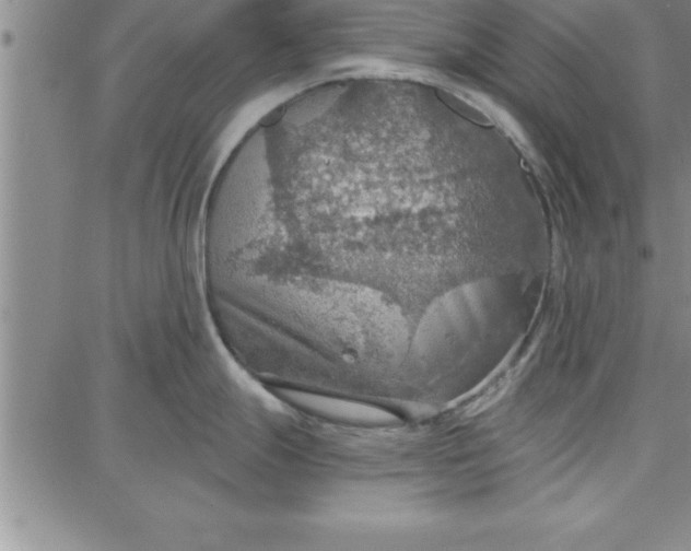 X0000087741247200705211004