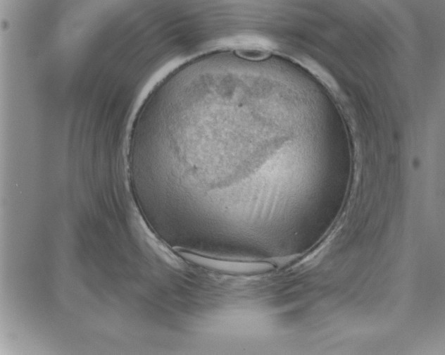 X0000087741248200705211004