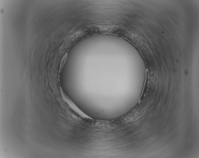 X0000087741249200705211004