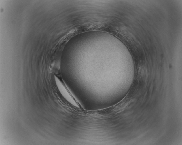 X0000087741250200705211004