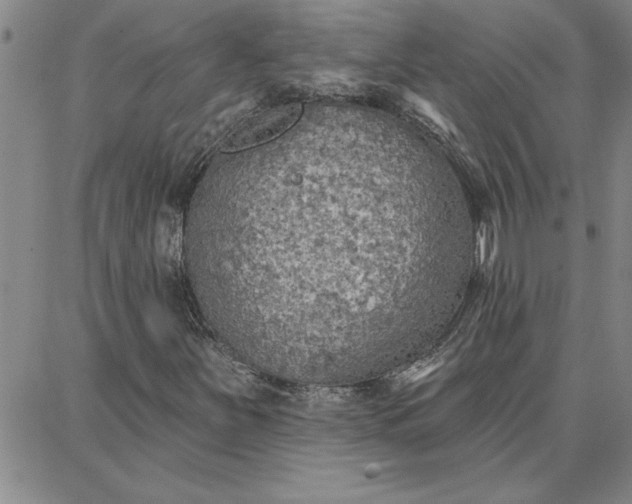 X0000087741251200705211004